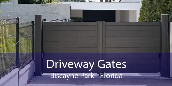 Driveway Gates Biscayne Park - Florida