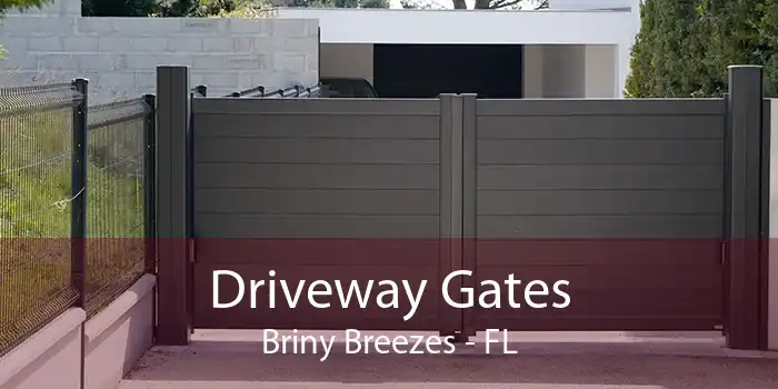 Driveway Gates Briny Breezes - FL