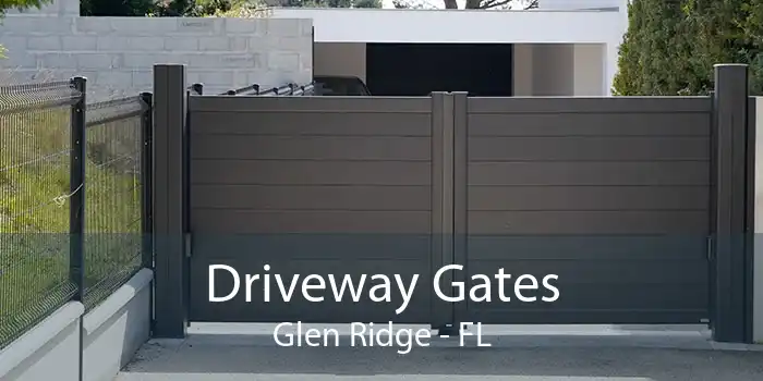 Driveway Gates Glen Ridge - FL