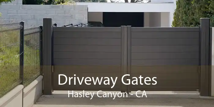 Driveway Gates Hasley Canyon - CA
