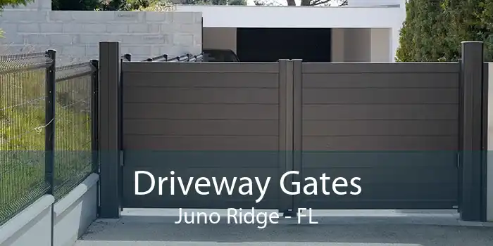 Driveway Gates Juno Ridge - FL