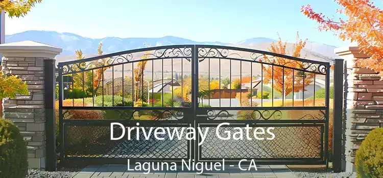 Driveway Gates Laguna Niguel - CA