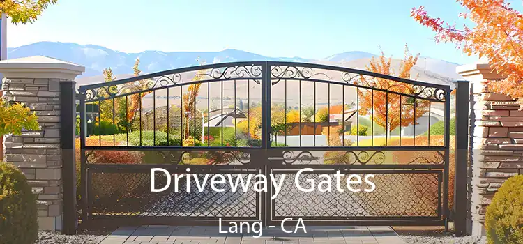 Driveway Gates Lang - CA