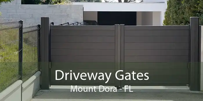 Driveway Gates Mount Dora - FL