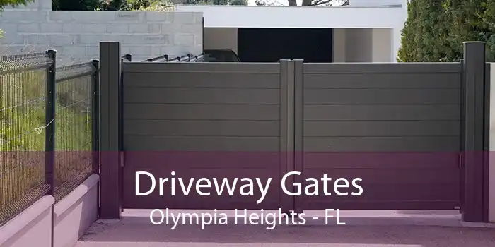Driveway Gates Olympia Heights - FL