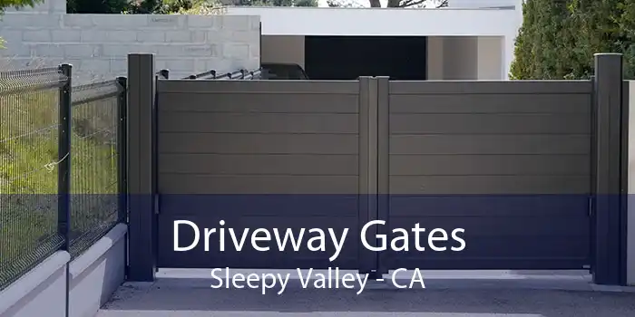 Driveway Gates Sleepy Valley - CA