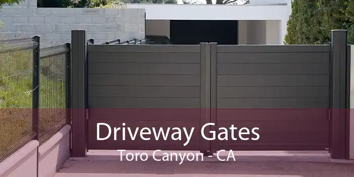 Driveway Gates Toro Canyon - CA