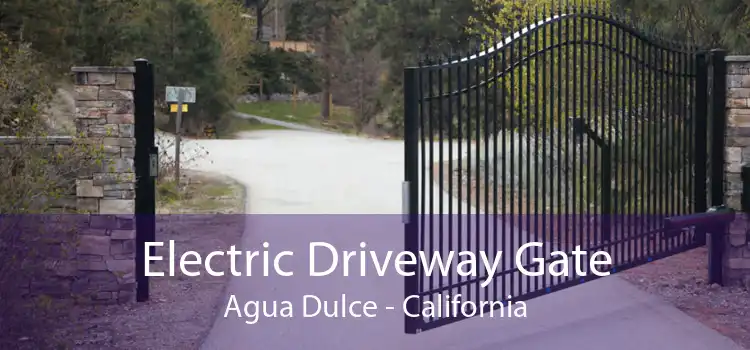 Electric Driveway Gate Agua Dulce - California