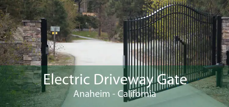 Electric Driveway Gate Anaheim - California