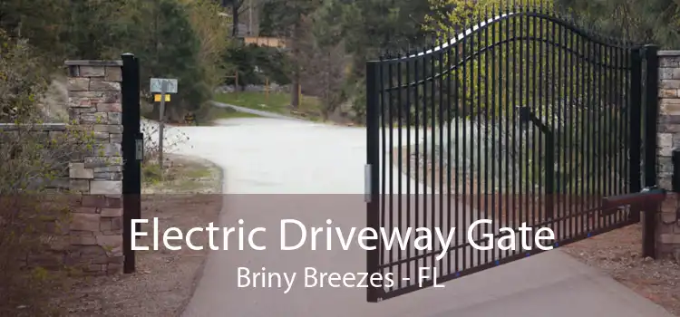 Electric Driveway Gate Briny Breezes - FL