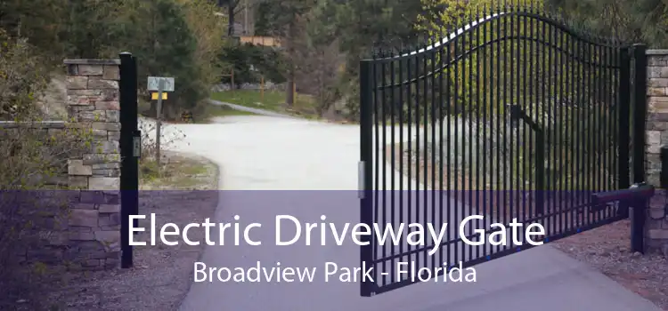 Electric Driveway Gate Broadview Park - Florida