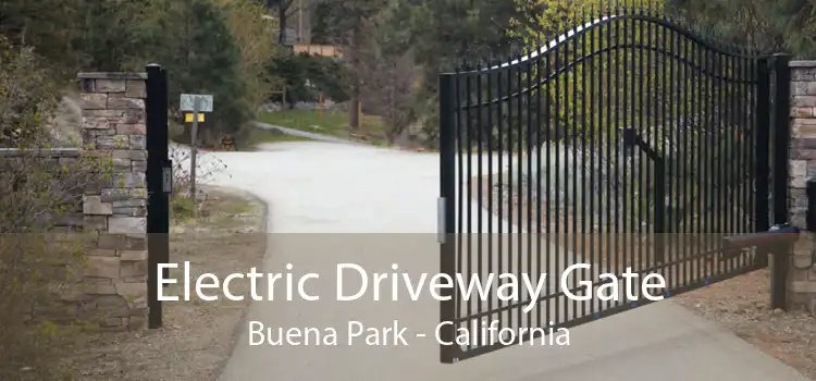 Electric Driveway Gate Buena Park - California
