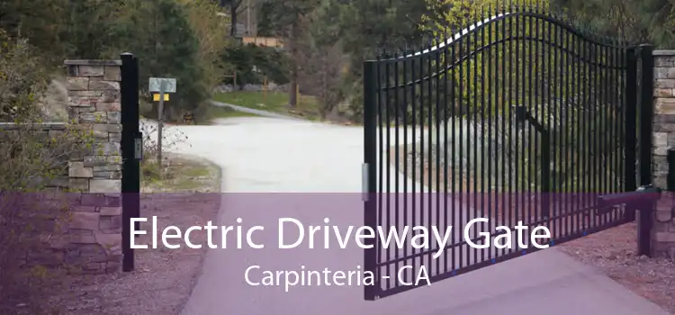 Electric Driveway Gate Carpinteria - CA