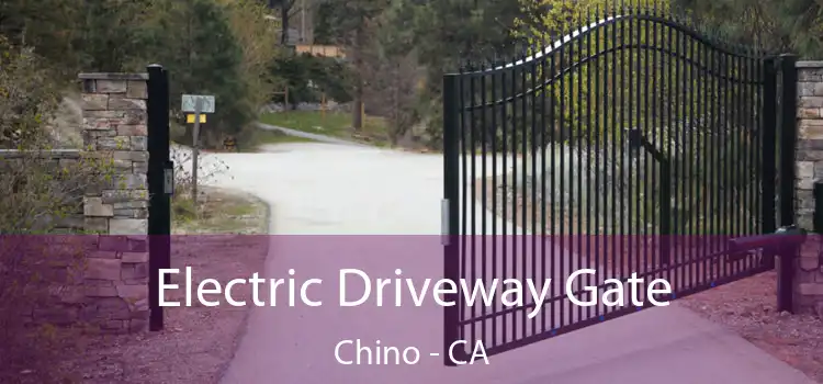 Electric Driveway Gate Chino - CA