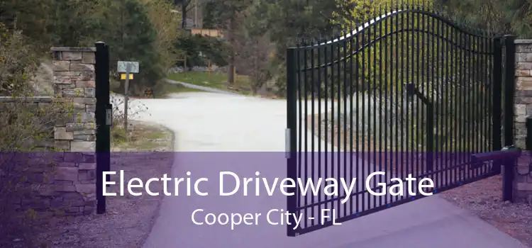 Electric Driveway Gate Cooper City - FL