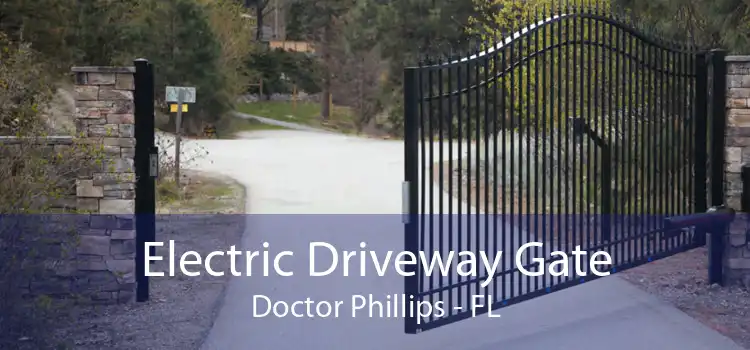 Electric Driveway Gate Doctor Phillips - FL