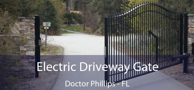 Electric Driveway Gate Doctor Phillips - FL