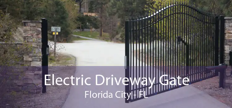 Electric Driveway Gate Florida City - FL