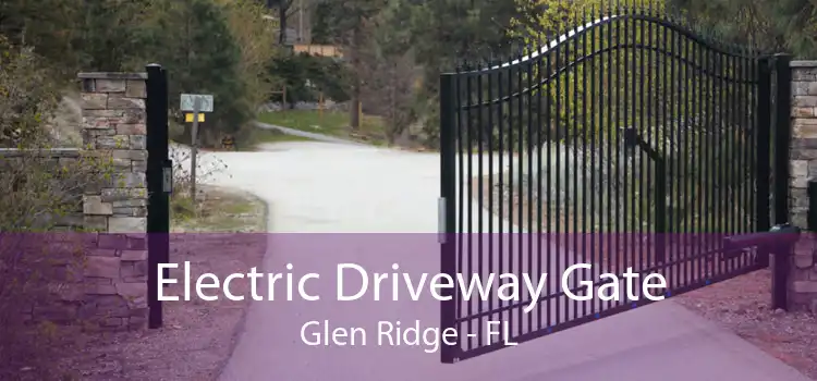 Electric Driveway Gate Glen Ridge - FL