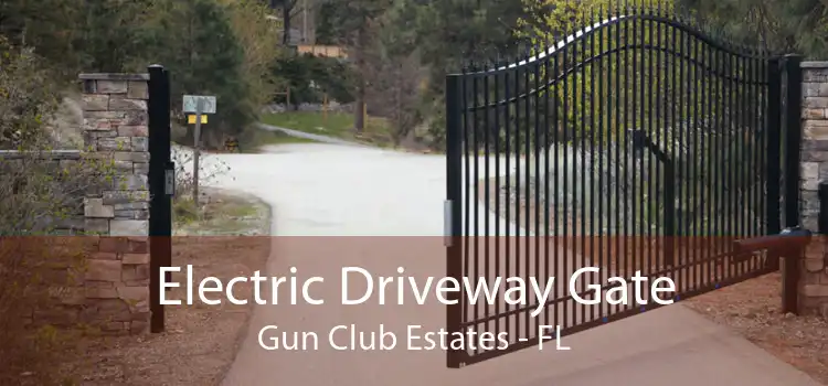 Electric Driveway Gate Gun Club Estates - FL