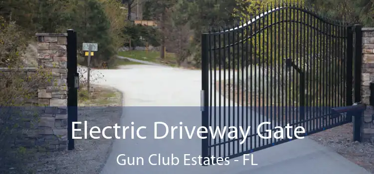 Electric Driveway Gate Gun Club Estates - FL