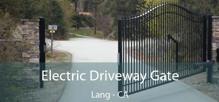 Electric Driveway Gate Lang - CA