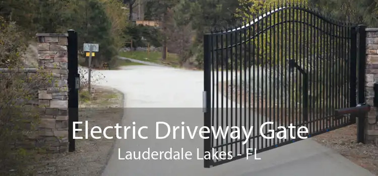 Electric Driveway Gate Lauderdale Lakes - FL