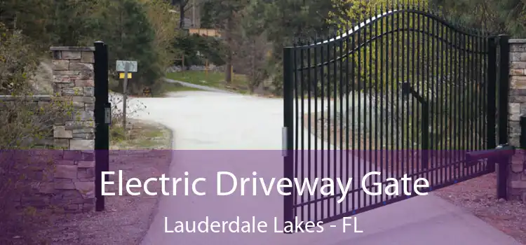 Electric Driveway Gate Lauderdale Lakes - FL