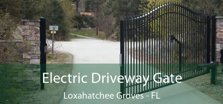 Electric Driveway Gate Loxahatchee Groves - FL