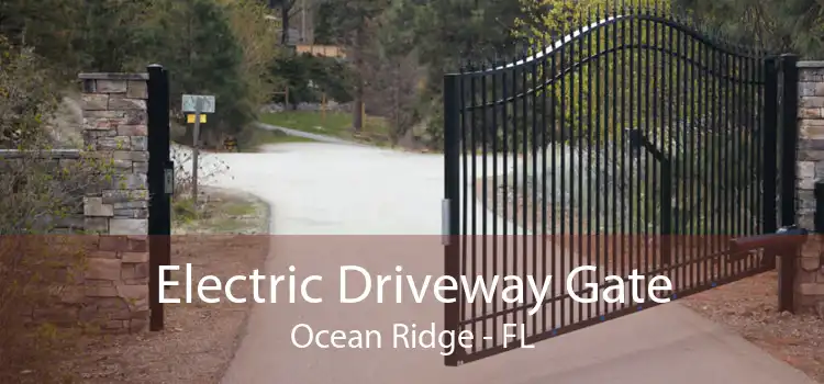 Electric Driveway Gate Ocean Ridge - FL