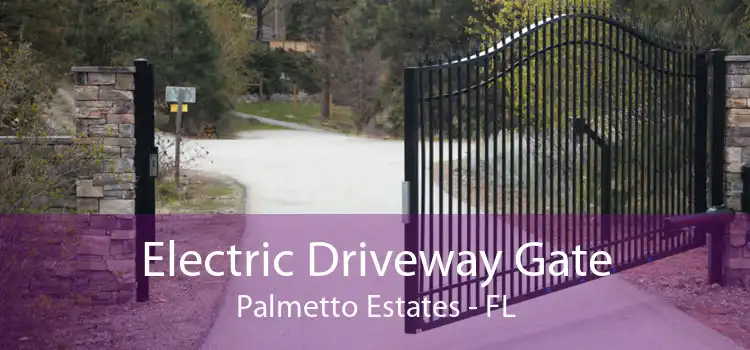 Electric Driveway Gate Palmetto Estates - FL