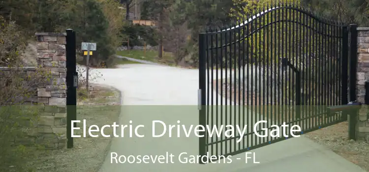 Electric Driveway Gate Roosevelt Gardens - FL