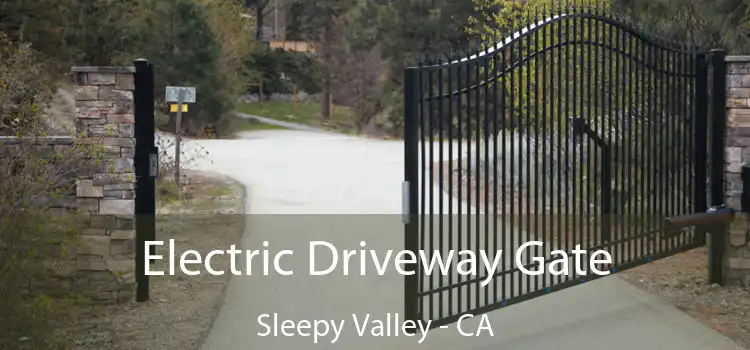 Electric Driveway Gate Sleepy Valley - CA