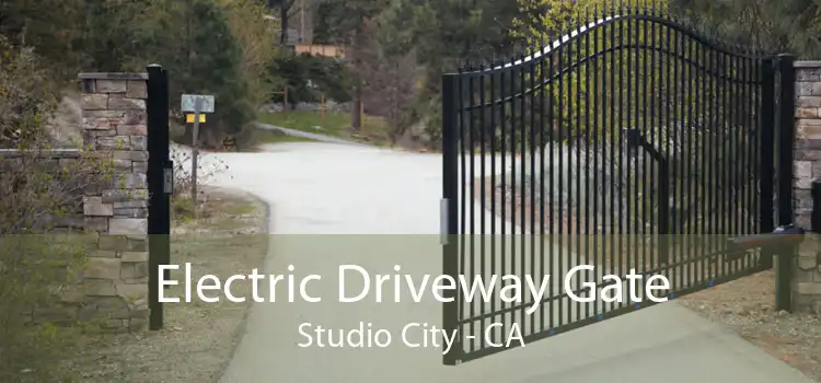 Electric Driveway Gate Studio City - CA