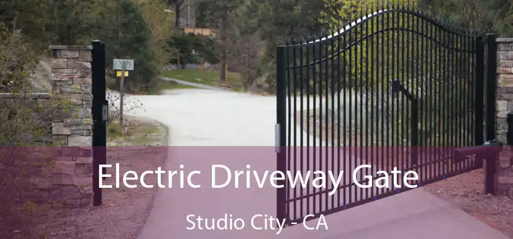 Electric Driveway Gate Studio City - CA