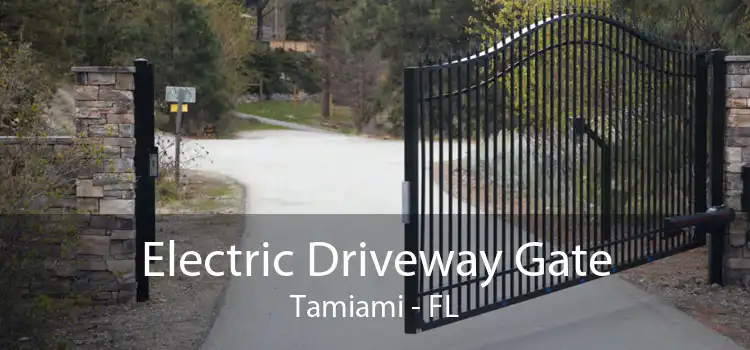 Electric Driveway Gate Tamiami - FL