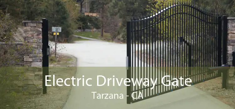 Electric Driveway Gate Tarzana - CA
