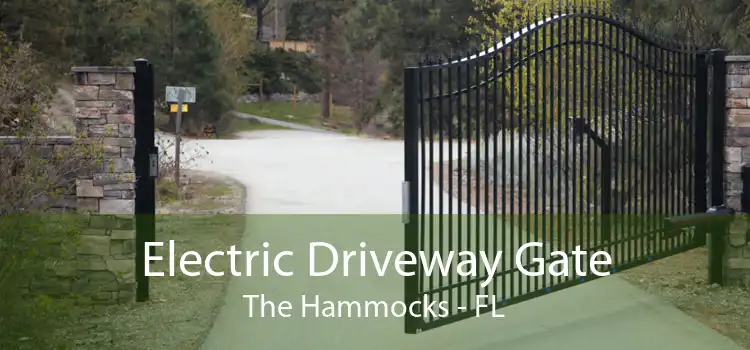 Electric Driveway Gate The Hammocks - FL