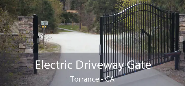 Electric Driveway Gate Torrance - CA