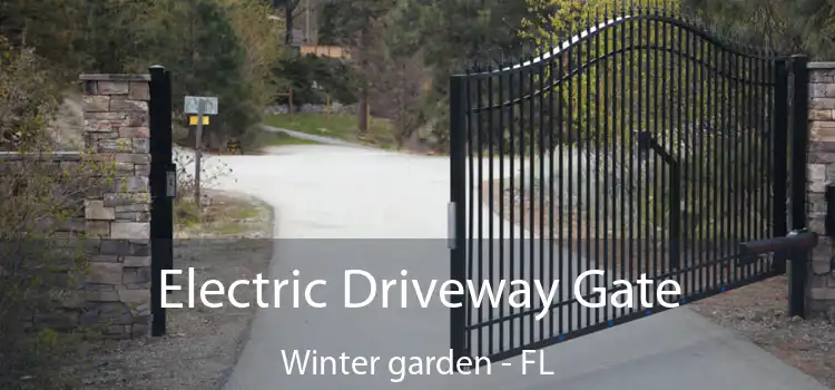 Electric Driveway Gate Winter garden - FL