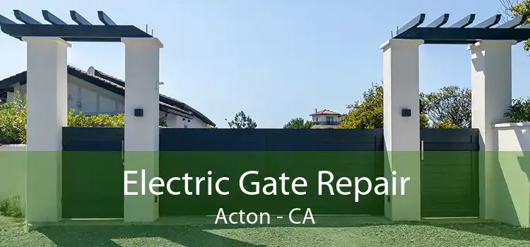 Electric Gate Repair Acton - CA