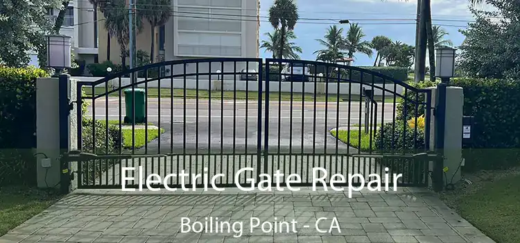 Electric Gate Repair Boiling Point - CA