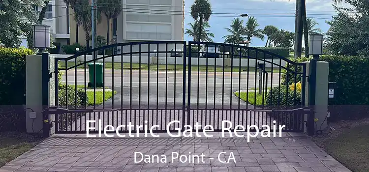 Electric Gate Repair Dana Point - CA