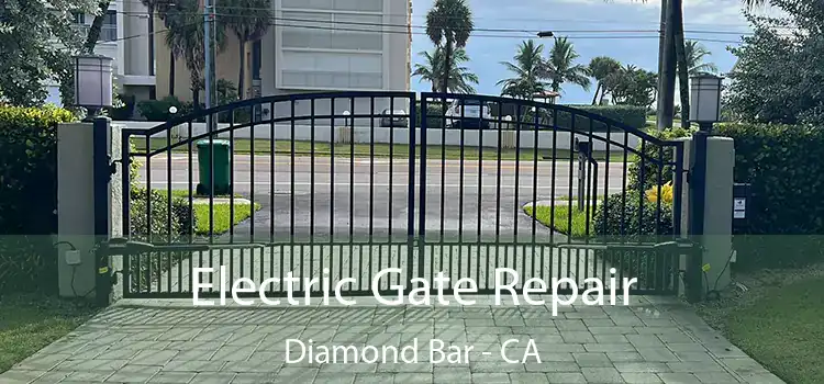 Electric Gate Repair Diamond Bar - CA