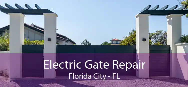 Electric Gate Repair Florida City - FL