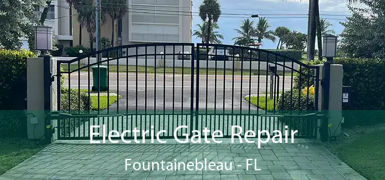 Electric Gate Repair Fountainebleau - FL