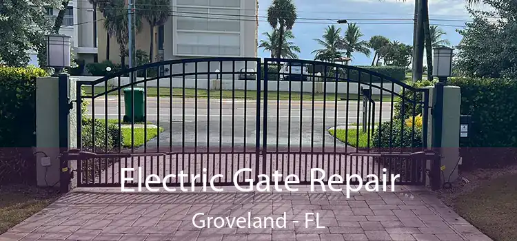 Electric Gate Repair Groveland - FL