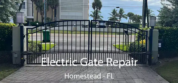  Electric Gate Repair Homestead - FL