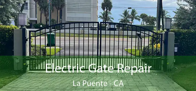 Electric Gate Repair La Puente - CA