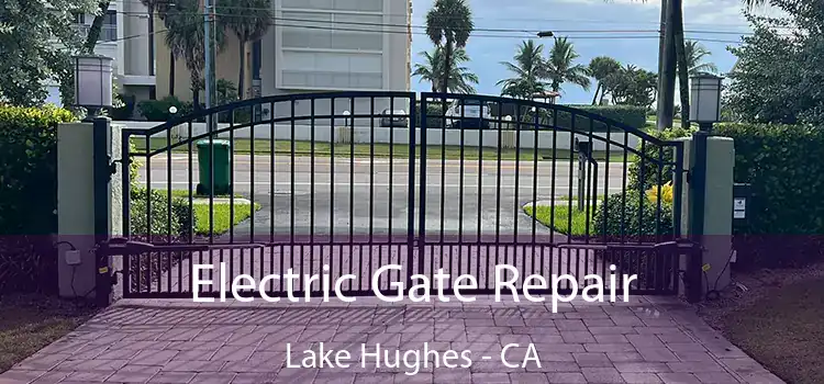 Electric Gate Repair Lake Hughes - CA